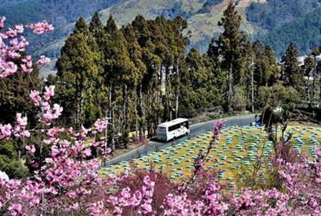 搭乘「865路公車」再轉乘「866路公車」可銜接至武陵農場、福壽山農場，山林美景美不勝收。（台中市關旅局提供／陳淑芬台中傳真）