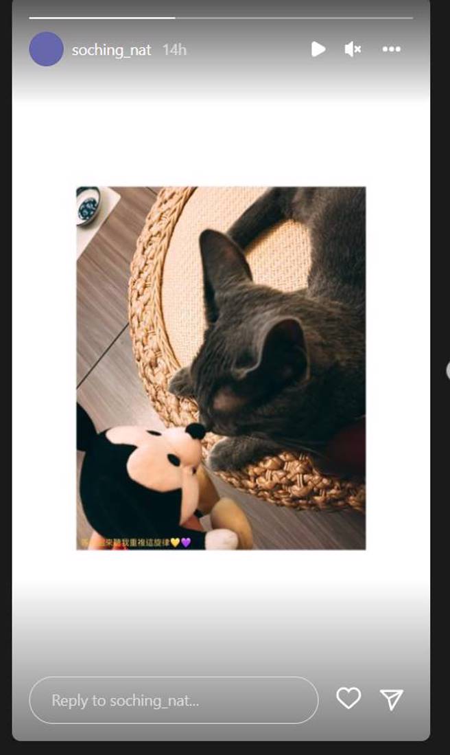 苏芷晴IG限动全文。（图／取材自苏芷晴 Instagram）