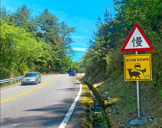玉山国家公园塔塔加近期发生蛇类遭路杀，玉管处在省道台18线设置防路杀警示牌，提醒驾驶减速慢行。（玉管处提供）