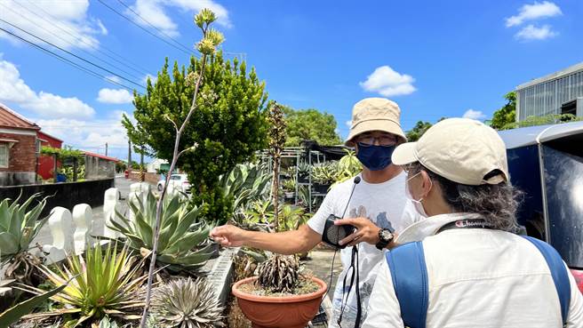 台南市盐水区公所导览团队寻访竹埔社区秘境，藉由串联邻近景点推出小旅行路线。（张毓翎摄）