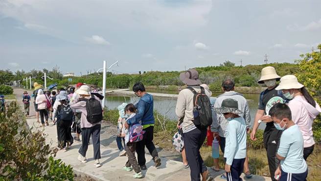 学员们午后来到双春滨海游憩区，走在今年完成修缮的红树林栈道上。（张毓翎摄）