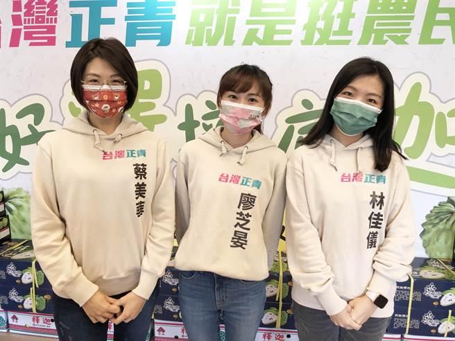 正国会「台湾正青」女将林佳仪(右) ，最近公开行程减少，外传参选将生变？(资料照片)