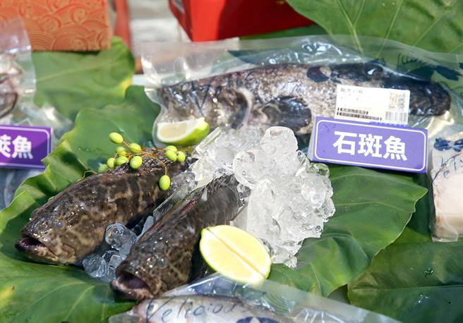 农委会8日举办「剥文旦吃石斑 中秋团圆爱台湾」记者会，推出农游券3.0，即日起推出消费满600抽200的农游券，计推出30万份，现场展示新鲜的石斑鱼，鼓励民眾多加採购。（赵双杰摄）