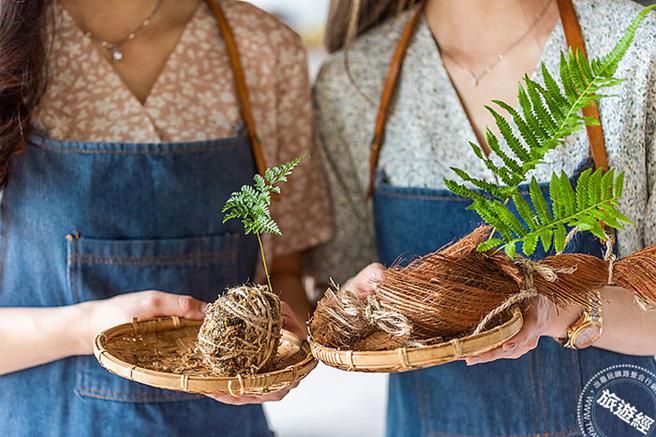 蕨色理想主题游程