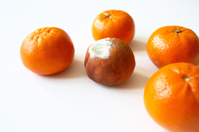 南非政府與歐盟因進口規定發生爭議，數百萬箱柳橙在滯留在歐洲港口的貨櫃中恐遭銷毀。（示意圖/Shutter Stock）