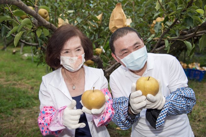 宜蘭縣長林姿妙（左）與新北市長侯友宜（右）參訪「三星上將梨果園」。（圖 / 取自林姿妙臉書）