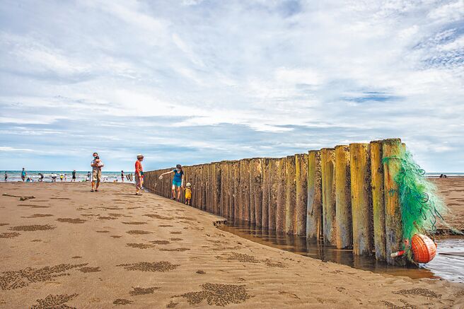 新月沙湾北段海岸防护改善工程第1期，在沙滩设置5道木桩突堤固砂，避免沙滩持续被淘空。（罗浚滨摄）