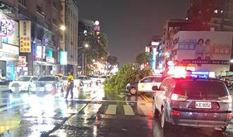 高雄雷雨交加吹狂風 苓雅區路樹倒塌佔據車道
