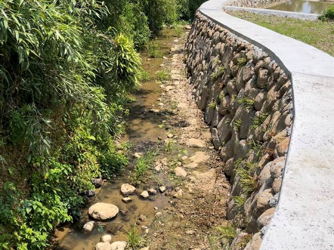 新北市农业局利用砌石护岸生态工法修復潭子内溪，改善后块石间植生，加速恢復自然生态。（新北市农业局提供）