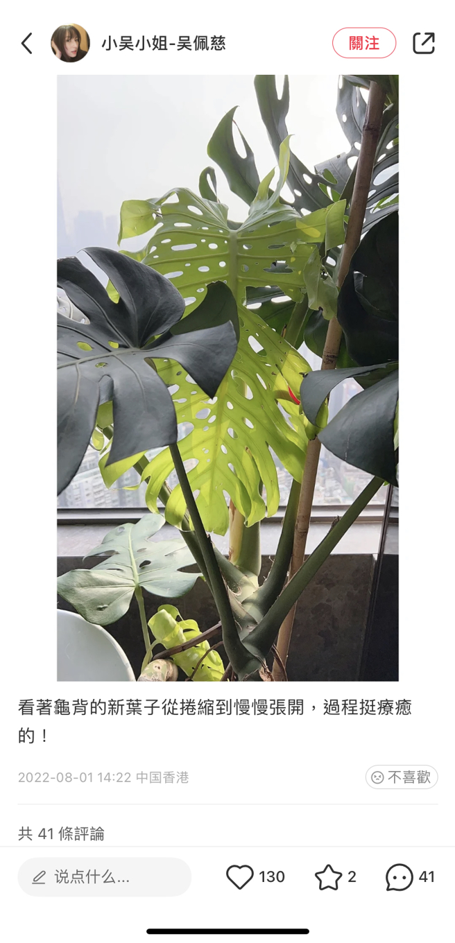 吴佩慈曝近况。（图／取材自吴佩慈小红书）