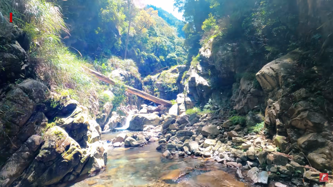 「跑山兽」在瀑布下方发现粘男遗体，他近日在YouTube公开搜救影片，离奇的是当时他在该处河谷发现「数百只蝴蝶」空中飞舞，接着在近处发现遗体。（翻摄自「跑山兽」YouTube影片）