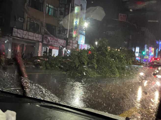 高雄建國路出現淹水、路樹倒塌災情。(圖／取自臉書)