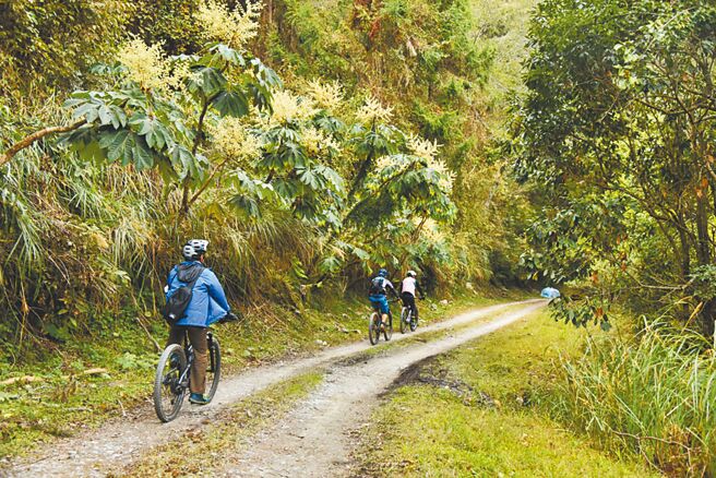 雪管处自今年5月开放自行车进入大鹿林道东线。（雪管处提供／谢明俊苗栗传真）