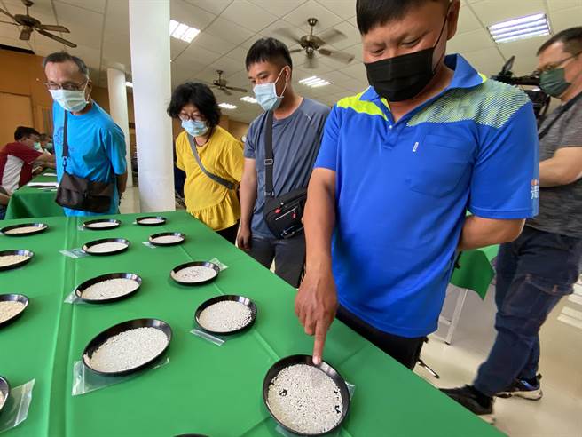 台東縣地區稻米達人賽11日登場。（蔡旻妤攝）