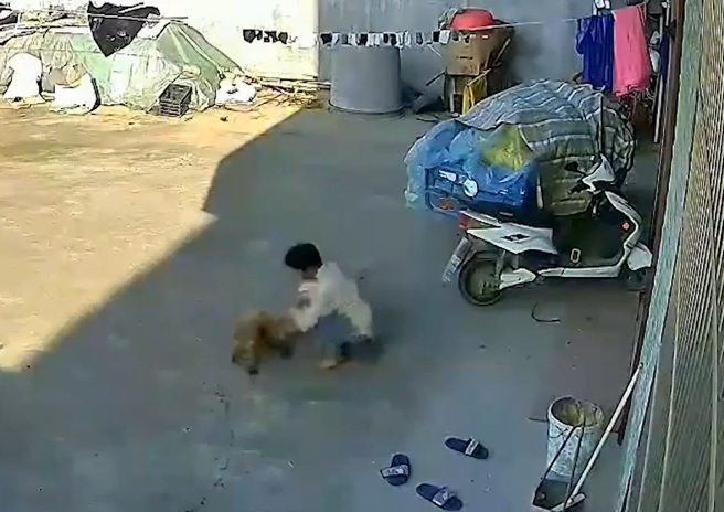 大陆一只走失10个月的小狗竟奇蹟般地找到家、和饲主重逢。(图/翻摄自微博)