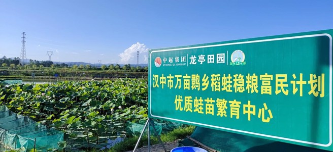 位於陝西省漢中市洋縣龍亭鎮的優質蛙苗繁育中心。(圖／方偉光)