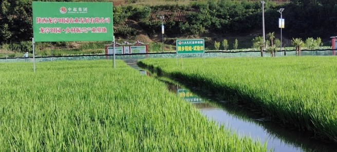 秦嶺以南的水鄉稻田景致也為陝南增添南方色彩，陝西漢中市的農改實驗場。（圖／方偉光）