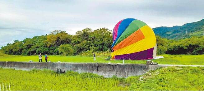 台东特有的热气球自由飞开放以来，常因气流不稳，迫降在私人农田造成农损。（民眾提供／蔡旻妤台东传真）
