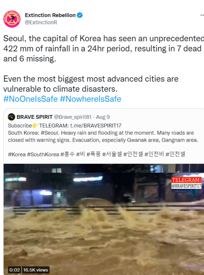 南韓災情。( Extinction Rebellion推特)