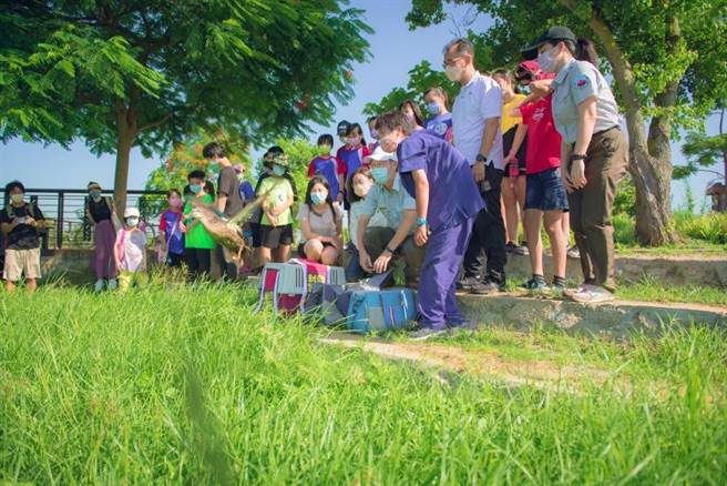3隻評估已達野放標準的小花嘴鴨，今天在古寧頭雙鯉湖畔成功野放之一。（金管處提供）