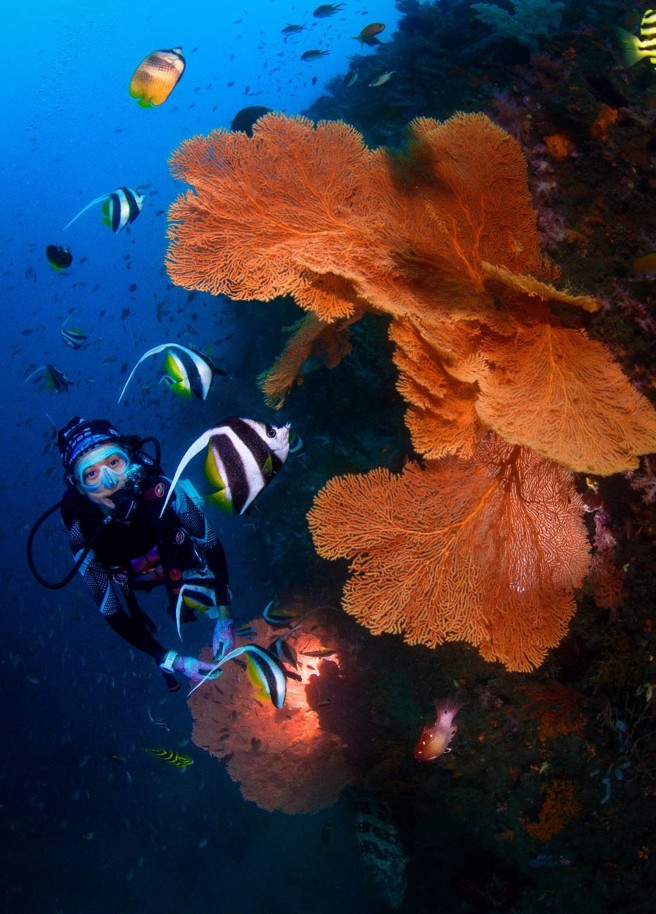 基隆望海巷潮境海湾资源保育区涌入游客，生态被破坏问题层出不穷，市府正研议推动人流总量管制。（基隆市政府产发处提供）