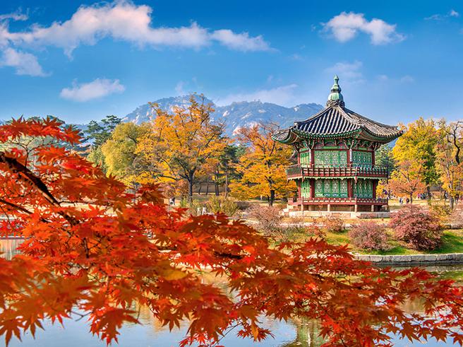 易游网机票销售显示，韩国开放台旅客免签入境后，首尔机票销售成长逾5成。（易游网提供）