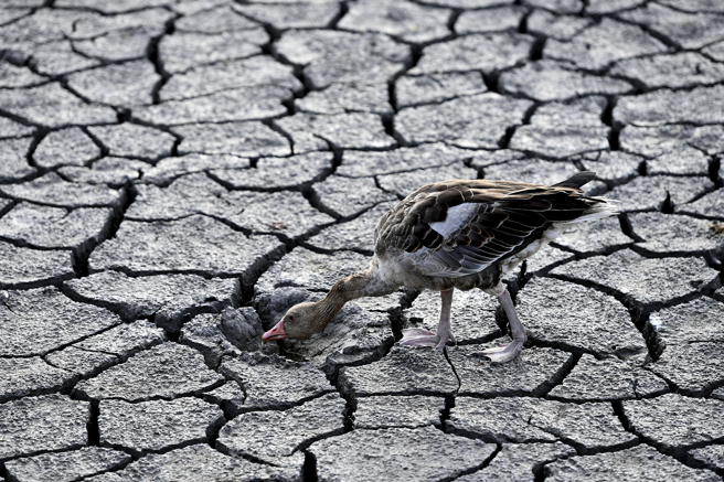 專家示警，歐洲極端氣候比能源危機更嚴重，可能導致本世紀約數百兆美元的損失。（示意圖／美聯社資料照）