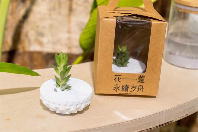 8月12-14日至花蓮永續方舟館前100位參觀的民眾可領取生態小盆栽。(花蓮縣政府提供)