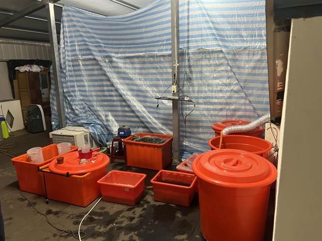 2人为求给大麻好的生长环境，还费心于租屋处加盖温室。(警方提供／曹婷婷台南传真)