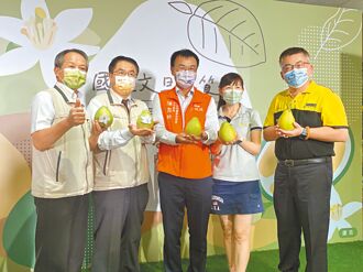 台南農委會3支箭 防文旦價格遭打壓
