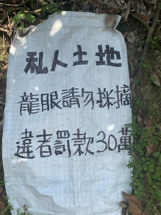 雾峰桐林山区偷採龙眼事件频传，果农特地在北坑产业道路旁悬挂各式警告标志，希望吓阻不肖民眾偷摘。（市议员李天生提供／冯惠宜台中传真）
