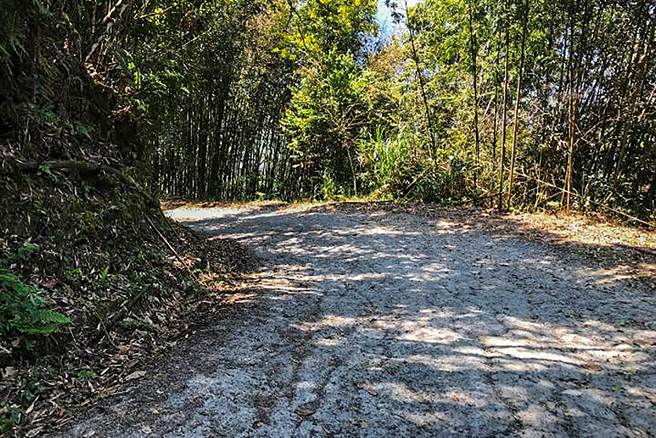 五峰乡桃山村下杉本道路是通往霞喀罗国家步道的支线之一，将改善1.53公里路段，重新铺设RC路面及加设护栏。（罗浚滨摄）