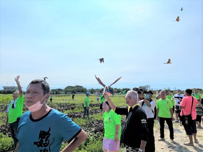来自全台热爱金刚鹦鹉的250名民眾带着鹦鹉到北港糖厂仓库群「大会师」放飞。（周丽兰摄）