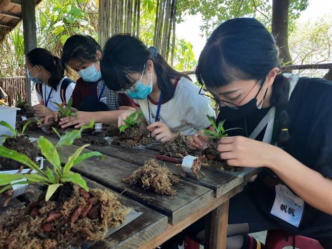 兰阳青年文艺营由40位对文学有兴趣的宜兰学子报名组成的，始于8月12日至14日共3天营队的行程规画，以宜兰市中山国小作为课程教室，跨足至望龙埤生态步道、兰阳绿野生态农场及宜兰市旧城风光。（宜兰县救国团提供／吴佩蓉宜兰传真）