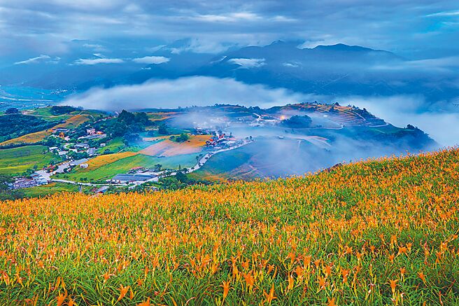 「漫游花海‧金针忘忧假期」三天两夜含金针花一日游。图／理想大地提供