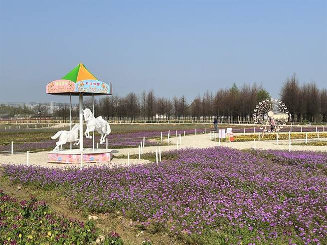 桃園市議員期盼休區可以財務獨立自主，不要每年編大筆預算，只是創造10天花期，曇花一現。（蔡依珍攝）