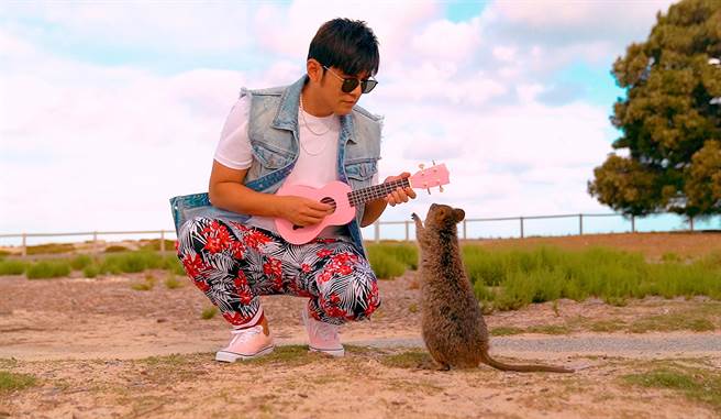 周杰倫拍攝新歌〈粉色海洋〉MV，袋鼠也被吸引而來。（杰威爾音樂提供）