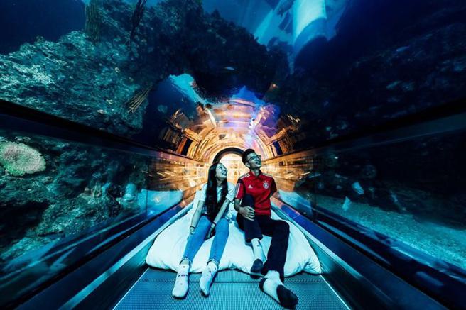 ▲榜上第10名的屏东海生馆夜宿体验适合阖家一同前往，与海洋生物共眠，来一趟珍贵的海洋巡礼。　图：Klook／提供