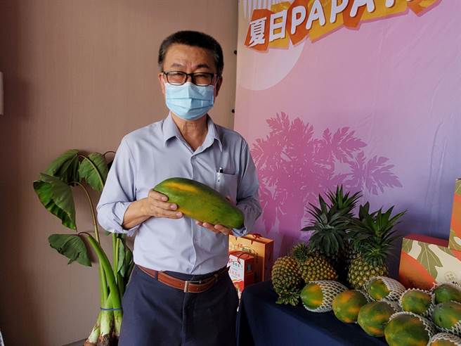 林內鄉農會總幹事黃國洲建議買木瓜時可以看木瓜的黃溝，8月之前至少要5條，10月以後只要3條就夠成熟。（周麗蘭攝）