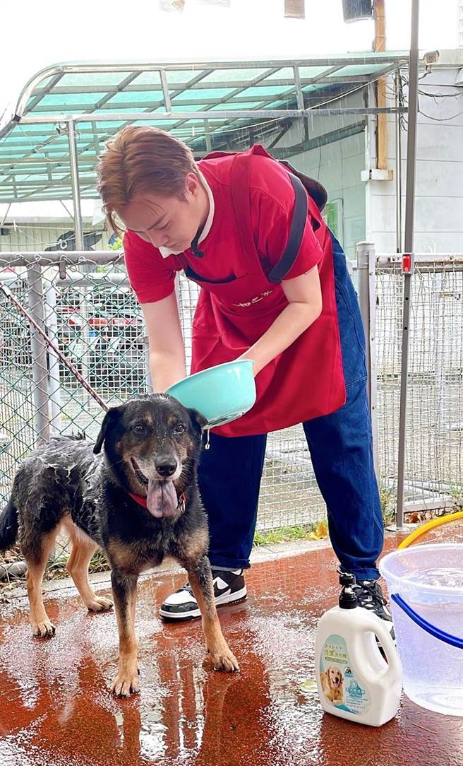 许富凯为流浪狗洗澡。（民视提供）
