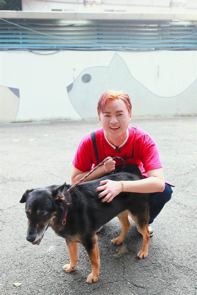 许富凯为流浪狗洗澡。（民视提供）