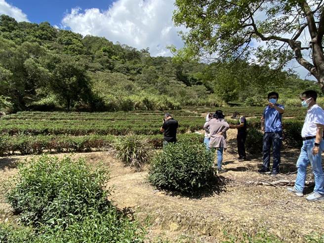 宜蘭縣政府農業處16日下午派員前往冬山鄉茶園勘災。（宜蘭縣政府農業處提供／吳佩蓉宜蘭傳真）