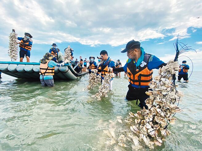 第五河川局15日与嘉义县沿海居民、蚵农以蚵壳拦沙、竹笼筑堤两个工法来固滩，打造防止外伞顶洲沙源流失第一道防线。（读者提供／吕妍庭嘉义传真）