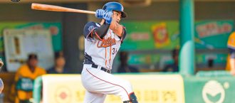 棒球》林子偉延續旅美生涯 轉戰獨立聯盟長島鴨隊