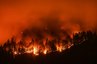氣候變遷加劇森林野火 每分鐘燒掉16座足球場