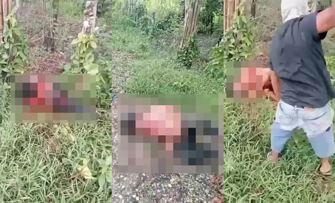 网上疯传台湾人去柬埔寨打工遭断手脚的影片。（图／翻摄自事实查核机构「MyGoPen」）