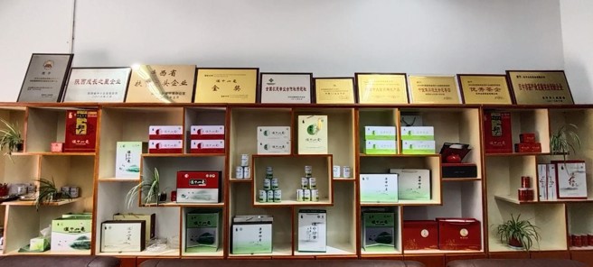 吴培元的公司荣誉墙上摆满自创品牌茶叶的奖项。（图／方伟光）