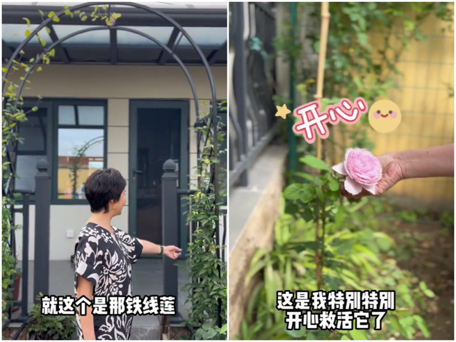 徐俐拍片分享自己的庭院。（图／抖音@徐俐）