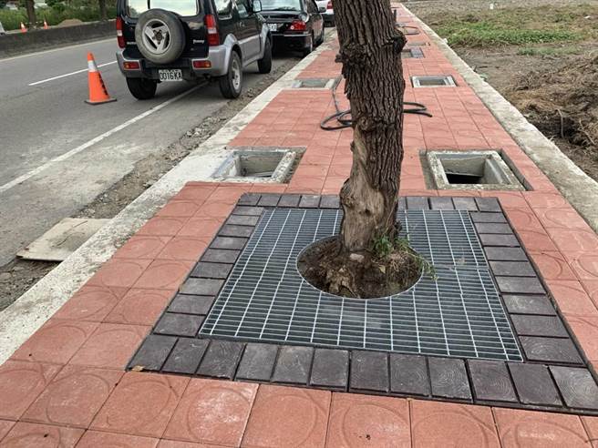 头份市公所发包整修正兴路人行道铺面，并调整树穴大小，并加上新盖板。（读者提供／谢明俊苗栗传真）