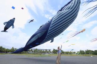 旗津風箏節20日登場 16公尺大鯨魚空中飛舞